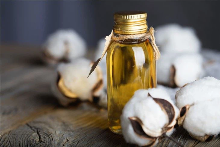 cottonseed oil press