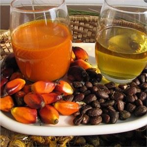 Refinería de aceite de palma y equipos de fraccionamiento