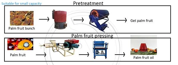Línea de producción de fruta de palma: valor fundamental y solución de proceso completo-
